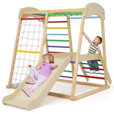 6-in-1 Indoor Jungle Gym
